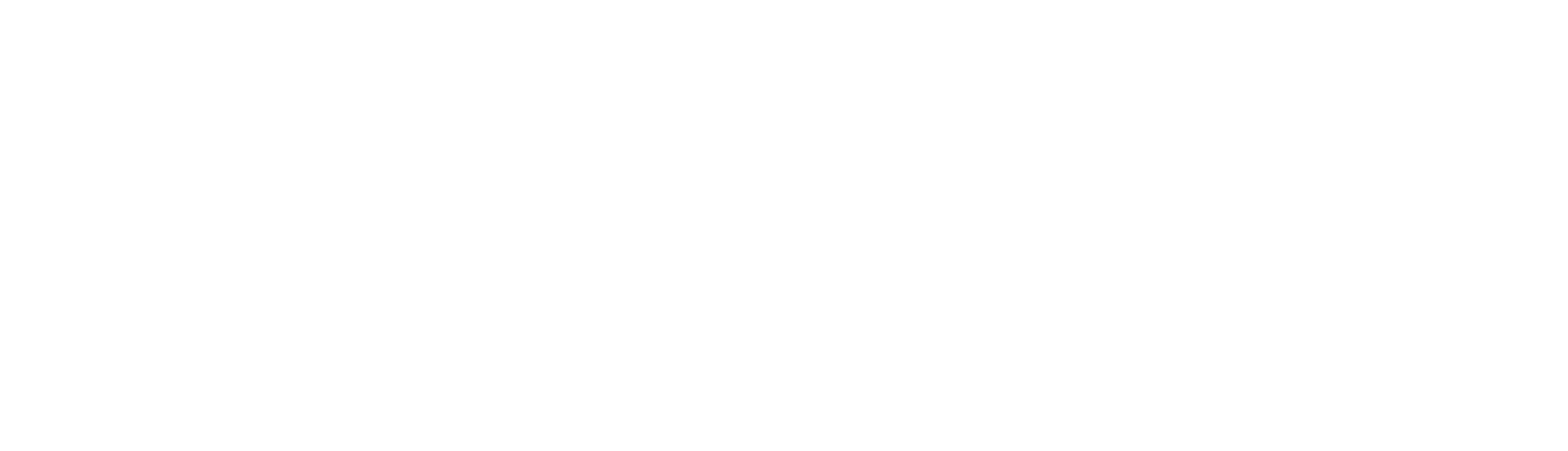 Password Boss